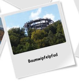 Baumwipfelpfad