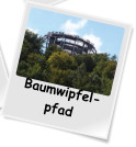 Baumwipfel- pfad
